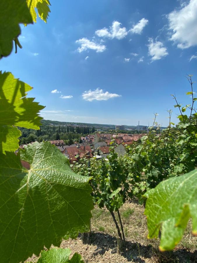 Ferienwohnung Wohlsein Frickenhausen am Main Eksteriør billede